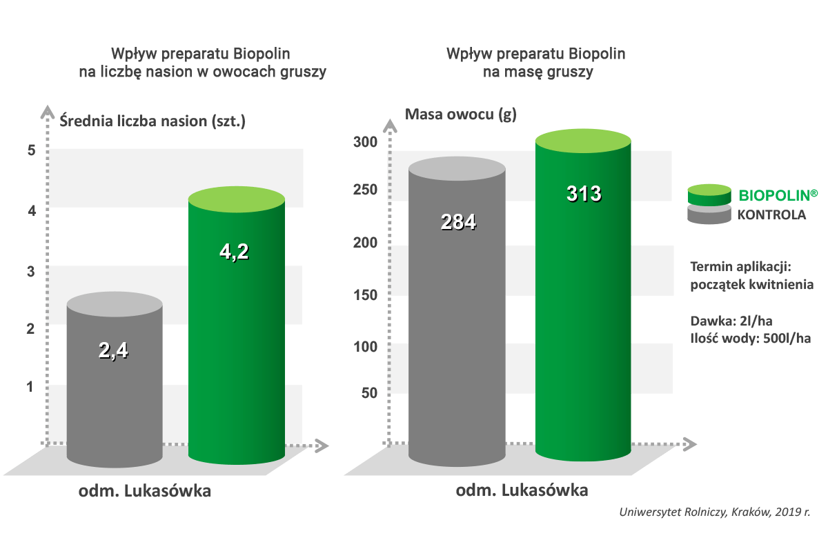 Wpływ preparatu Biopolin na liczbę nasion oraz masę owocu gruszy Lukasówka - wykres